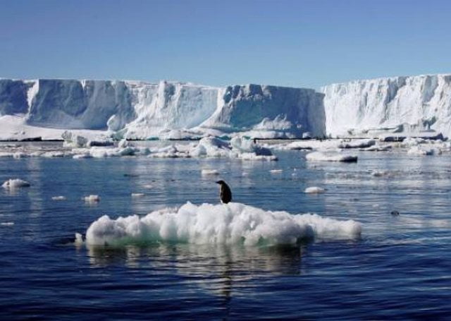 Thyhet rekordi i temperaturave, termometri kap vlera të frikshme në Antarktidë