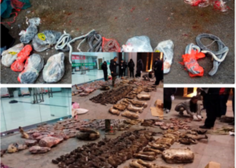 43B70E25-12FA-4ECF-BFC9-918C8C7F0235