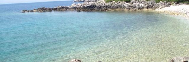 C7E6D8F9-A1FC-4295-A48F-D2A7153BE83B