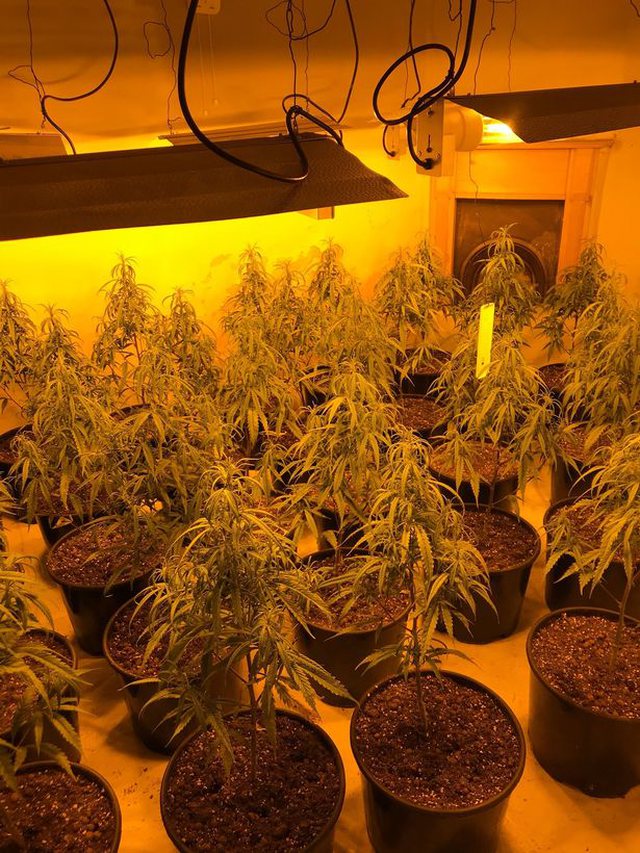 ABA2F5AA-51B2-4CC4-9397-E0FA78604F51