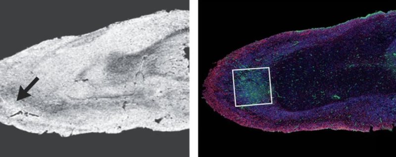 016CC5C9-EFA5-4250-BD4E-8C5F5A6BA4B2