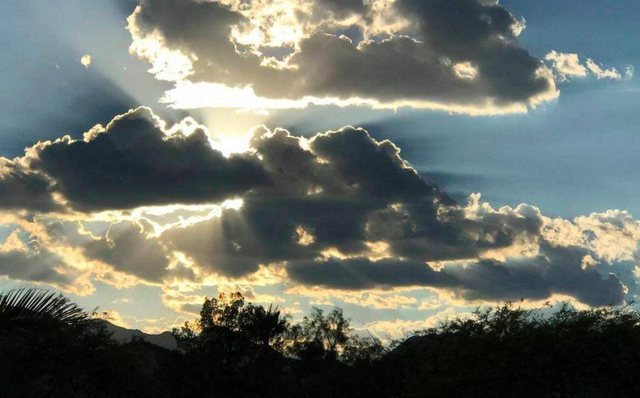 2BD56BCC-B5BE-459F-A271-FC8360775733