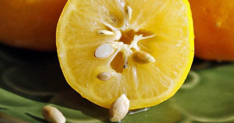 523DA76C-1830-48E7-8BA5-D22D588F2470