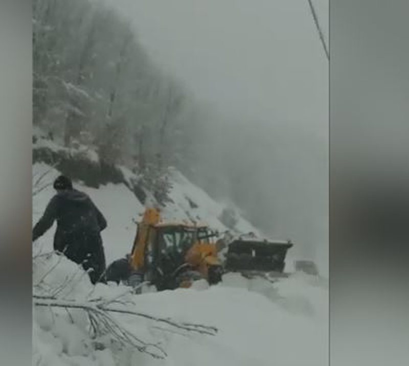 77502268-0AF8-499C-B887-9B8F862459BE