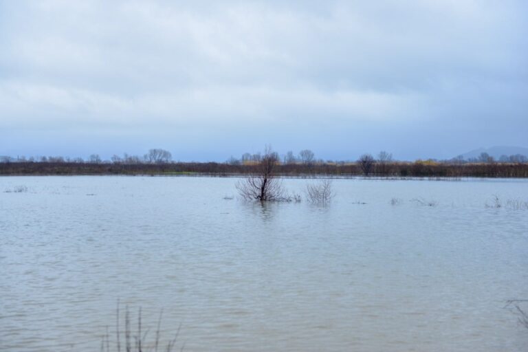 permbytjet-1-768x512