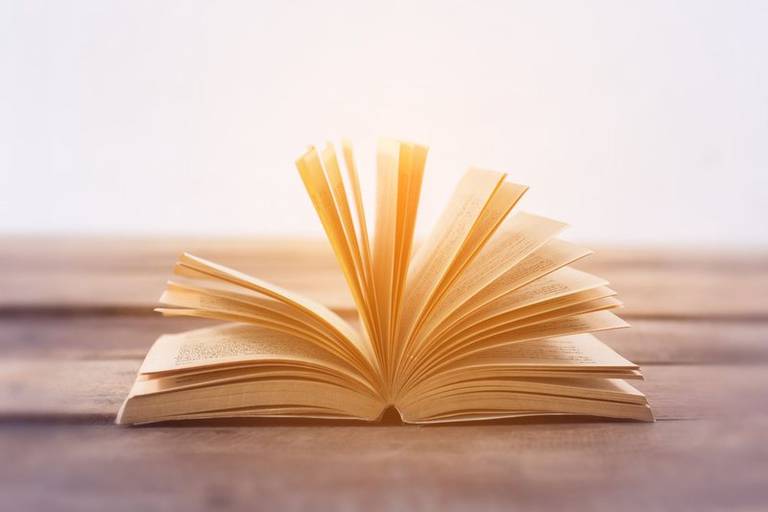 Autorë e botues: Bibliotekat në rrethe të varfra, Ministria e Kulturës nuk ka një politikë të detajuar për librin