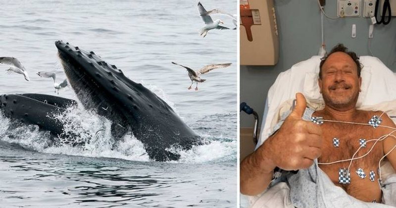 363E2F7E-703B-4F4B-8455-2F88F09DA086