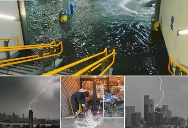 146928C4-7C14-42EA-AEE1-F3FAF40AE51B