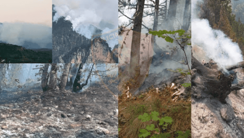 A2F8C7F2-19A1-43A1-818B-C4E741B1D3BD