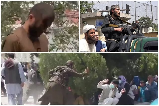 ekzekutim kabul