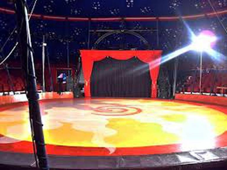 Përmbarimi ekzekuton vendimin për Cirkun Kombëtar, artistët: Turp për ministren e Kulturës, na la të gjithëve në baltë