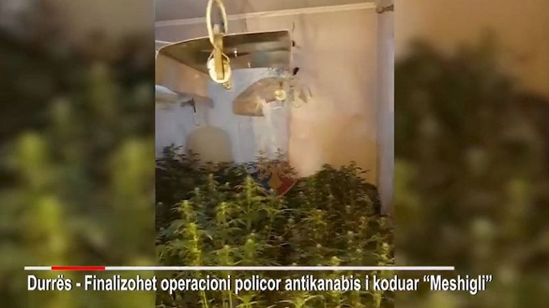 CB042F17-E89D-43A5-9B63-856A39030093