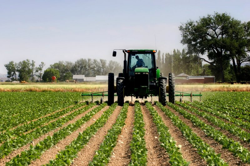 11AA9A56-9916-4E75-85D2-81E6D99455E1