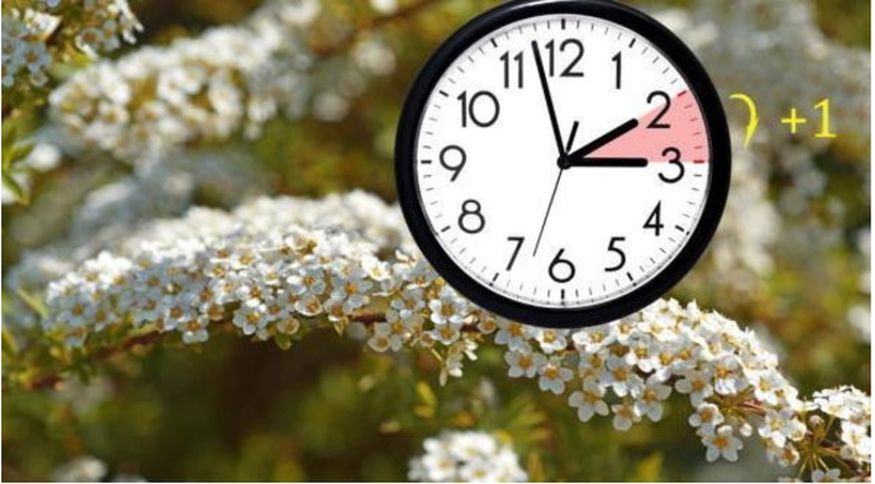 4C993A8F-2444-46F1-B993-0C6E595ABB0F