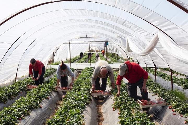 7651E729-5A78-4650-B1FA-FC0A2368FF51