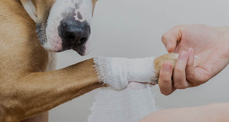 84984052-97D1-4B3C-9D99-9881E700BDE9