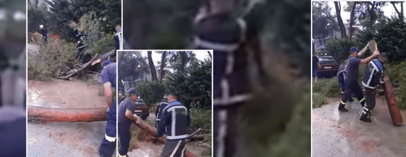 92A6FBB0-7421-418E-8E86-E60D1CA14CAA