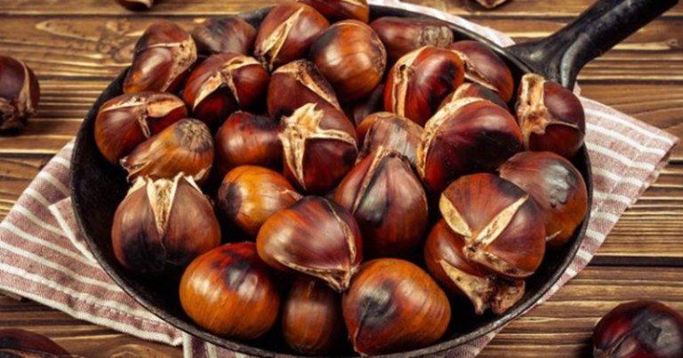 Një ilaç natyral i jashtëzakonshëm/ Gjithçka që duhet të dini për gështenjat dhe përfitimet shëndetësore që ato sjellin