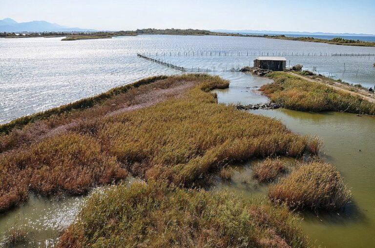 Tjetërsim prone me hedhje inertesh në Lagunën e Kune-Vainit, arrestohet pas 6 muajsh zyrtari i Agjencisë së Kombëtare të Zonave të Mbrojtura në Lezhë, bashkëpunoi me  4 të tjerë