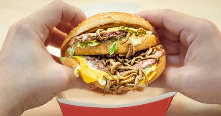 Komisioni Evropian merr vendimin, buburrecat dhe krimbat u shtohen menusë së gatimit