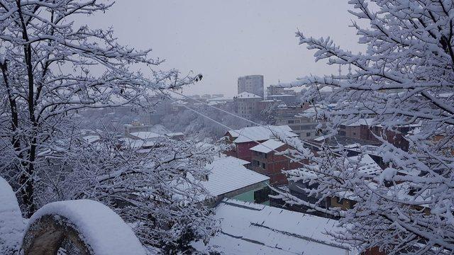 85AAC4D5-D97A-43E9-A1B0-C19CE3C25DB9