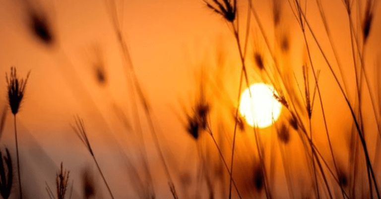 Solstici veror, sot dita më e gjatë e vitit, mbi 15 orë diell