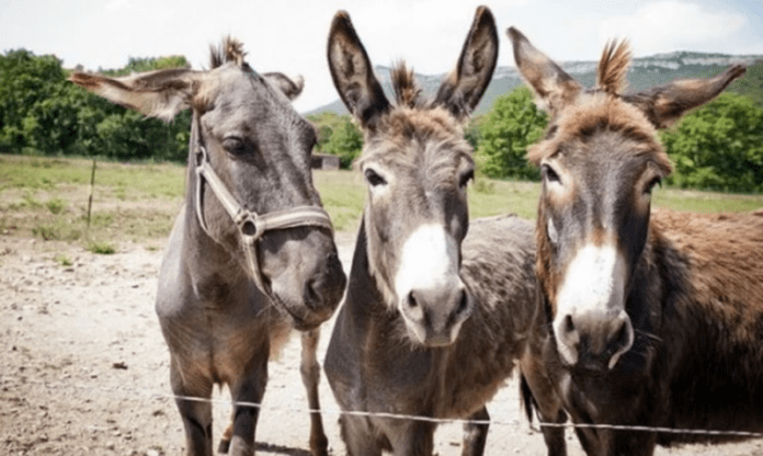 3A3D03AF-C04C-4525-9E87-FEF1370C1AE7