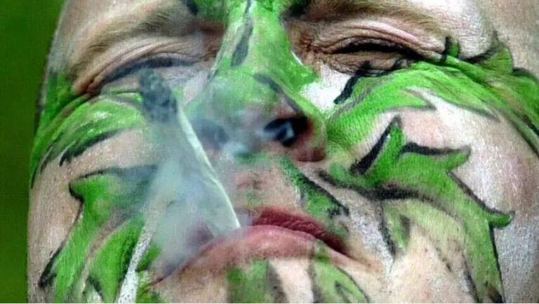 Shkencëtarët kanë zbuluar se çfarë ndodh me trurin, DW: Pse përdorimi i hashashit shton oreksin për të ngrënë?