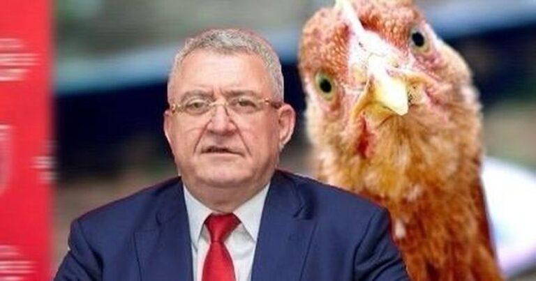 Armando Dukës i ngordhin pulat e AIBA: Gripi i shpendëve bën namin në Durrës, qeveria ndalon tregtimin