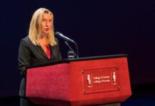 Bastisje në zyrat e BE dhe Kolegjin e Evropës! Çfarë fshihet pas arrestimit të Mogherinit