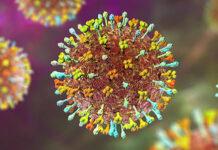 Alarm nga virusi “Nipah”! Mjekët shqiptarë: Kujdes nëse vizitoni…