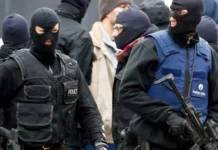 Sulm global ndaj mafia-s, 42 të arrestuar në Francë, rrëzohen bosët e kartelit në Meksikë