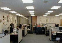 Të gjithë duan të punojnë në shtet, DAP: 20 aplikime për një vend pune