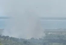 Zjarr i përmasave të mëdha në ullishtet e Panajasë