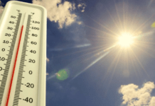 Temperatura deri në 42 gradë/ I nxehti afrikan mbërrin në Shqipëri, meteorologët: Kulmi pritet nesër
