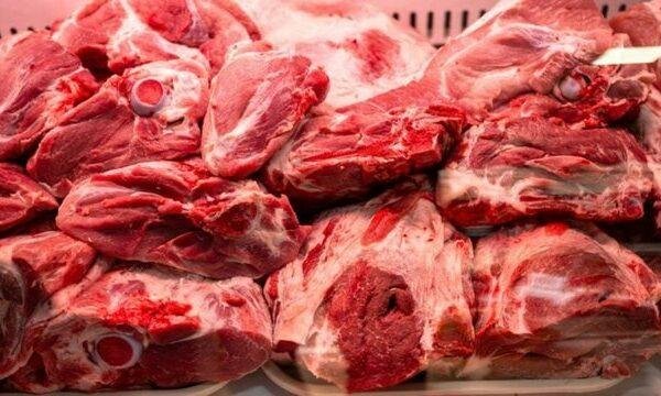 IMG_2486