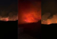 Situatë e rëndë në rrethinat e Tiranës, zjarret po përhapen me shpejtësi në kodra dhe pyje