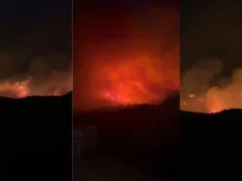 Situatë e rëndë në rrethinat e Tiranës, zjarret po përhapen me shpejtësi në kodra dhe pyje