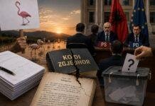 “Flamingot” marrin formularët për referendum, por kush do t’ua administrojë votën? PS dhe PD