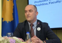 Nga Gjykata Kushtetuese dhe karriera në diplomaci, drejt detyrës si President i Kosovës