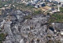 Banesa, ullishte e sipërfaqe pyje të shkrumbuara, ja çfarë la pas zjarri që “përpiu” Himarën