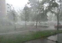 Stuhi e fortë ‘pushton’ Roskovecin/ Pemët e thyera vështirësojnë qarkullimin