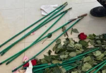 Arrestohet në Greqi “koka” e trafikut të kokainës nga Kolumbia, zbulohet emri i bujshëm