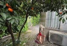 Ndryshohen rregullat për pronat pa titull: Deri në 300 m² truall mund të kalojë pa pagesë