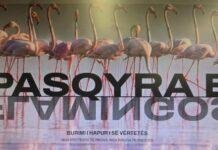 “Do publikojmë dosjen e KAYO-s”/ “Flamingo Mirror”, Rama paralajmëron transparencën e dosjeve
