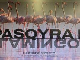 “Do publikojmë dosjen e KAYO-s”/ “Flamingo Mirror”, Rama paralajmëron transparencën e dosjeve