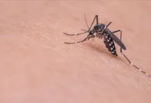Maqedoni e Veriut/ Raportohen 72 raste me ethet e Nilit Perëndimor, 12 pacientë kanë humbur jetën